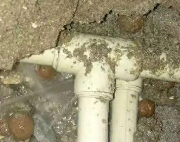 博白测漏水多少钱