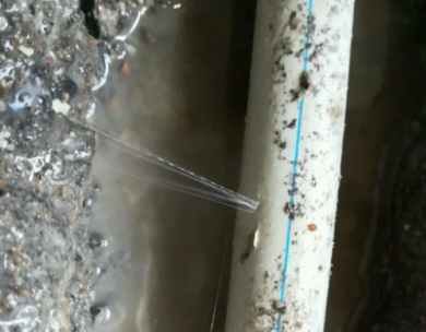 博白测漏水哪家好