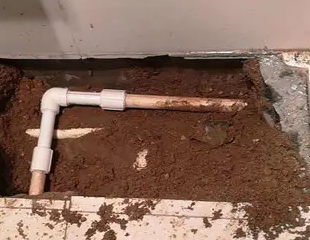 博白测漏水哪家好