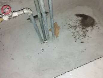 博白卫生间测漏水价格明细