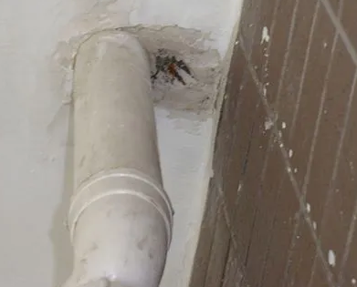 博白漏水检测哪家好